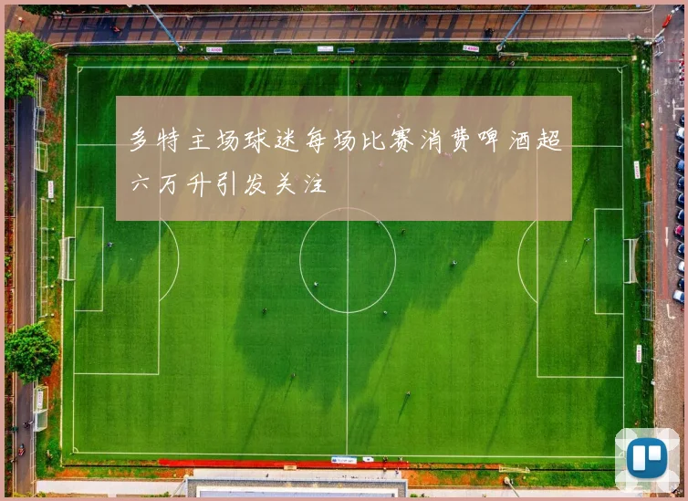 多特主场球迷每场比赛消费啤酒超六万升引发关注