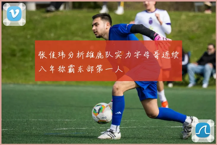 张佳玮分析雄鹿队实力字母哥连续八年称霸东部第一人