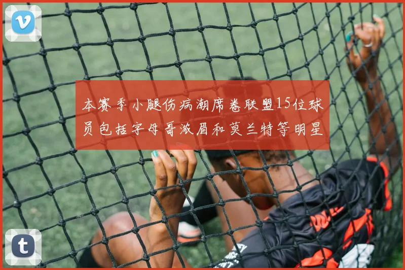 本赛季小腿伤病潮席卷联盟15位球员包括字母哥浓眉和莫兰特等明星球员