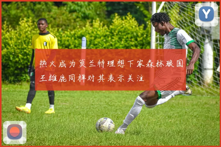 热火成为莫兰特理想下家森林狼国王雄鹿同样对其表示关注
