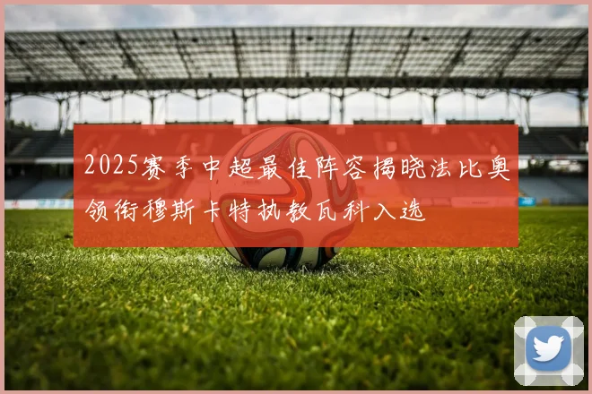 2025赛季中超最佳阵容揭晓法比奥领衔穆斯卡特执教瓦科入选